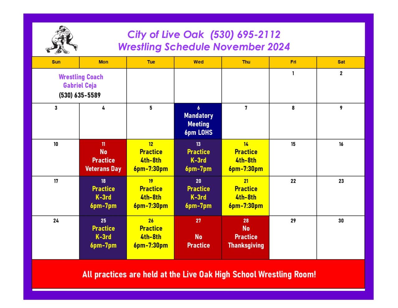 Youth Wrestling Information